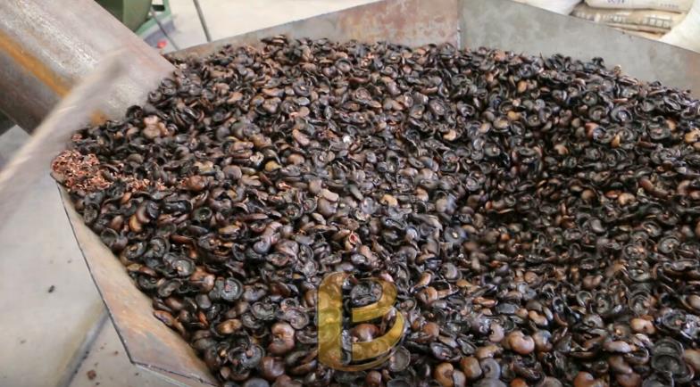 腰果殼和山核桃殼红豆视频app下载為綠色果殼炭